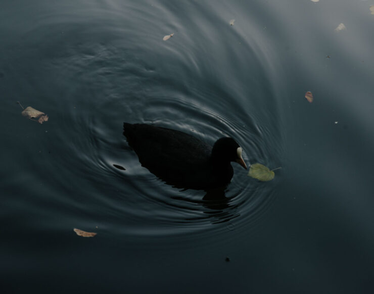 MCH LSE Digital Cityof Refuge Ali 12 Marcia Chandra