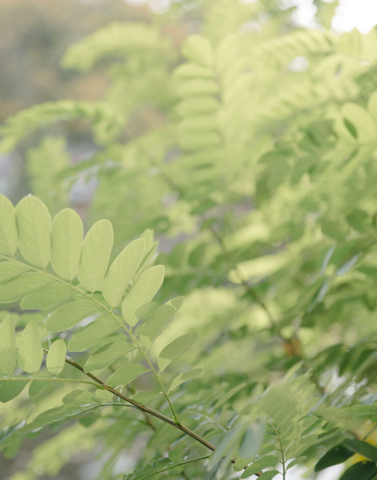 MCH LSE Digital Cityof Refuge Ali 17 Marcia Chandra