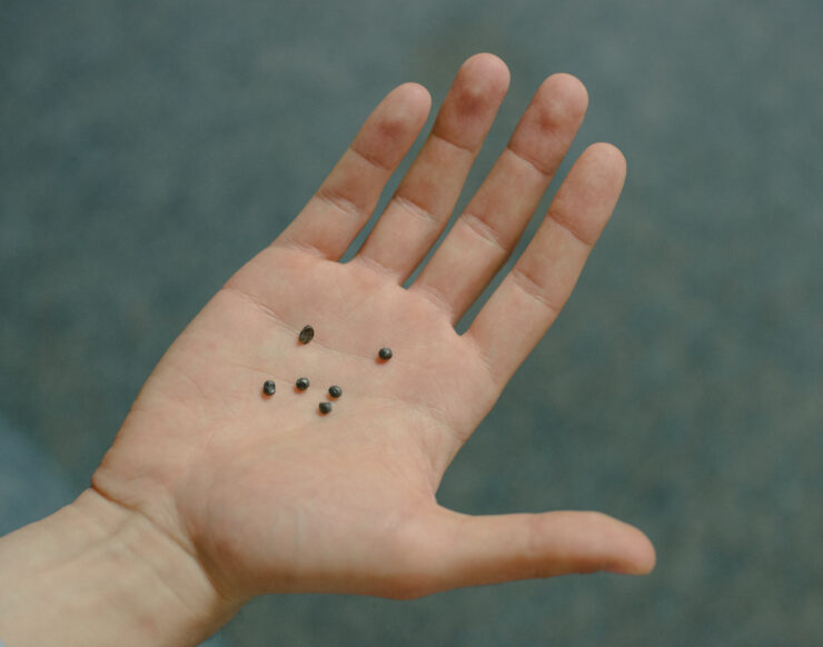 MCH LSE Digital Cityof Refuge Anas Hamdi Eidbi Eid 10 Marcia Chandra