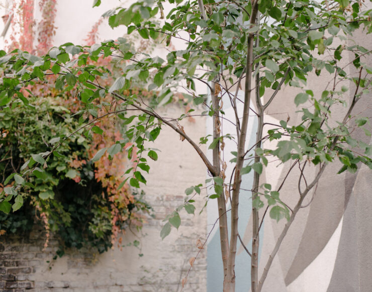 MCH LSE Digital Cityof Refuge Anas Hamdi Eidbi Eid 13 Marcia Chandra