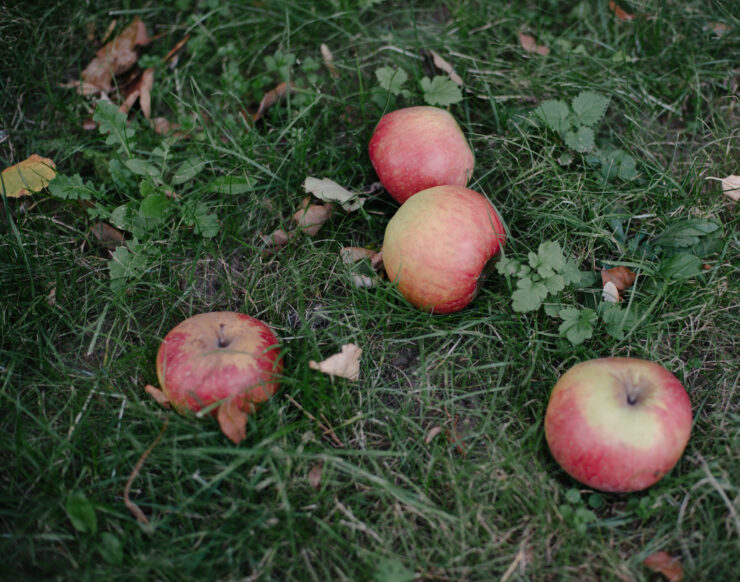 MCH LSE Digital Cityof Refuge Anas Hamdi Eidbi Eid 14 Marcia Chandra