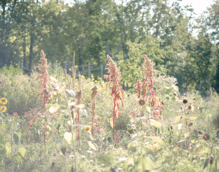 MCH LSE Digital Cityof Refuge Berlin Hussam s27 07 Marcia Chandra