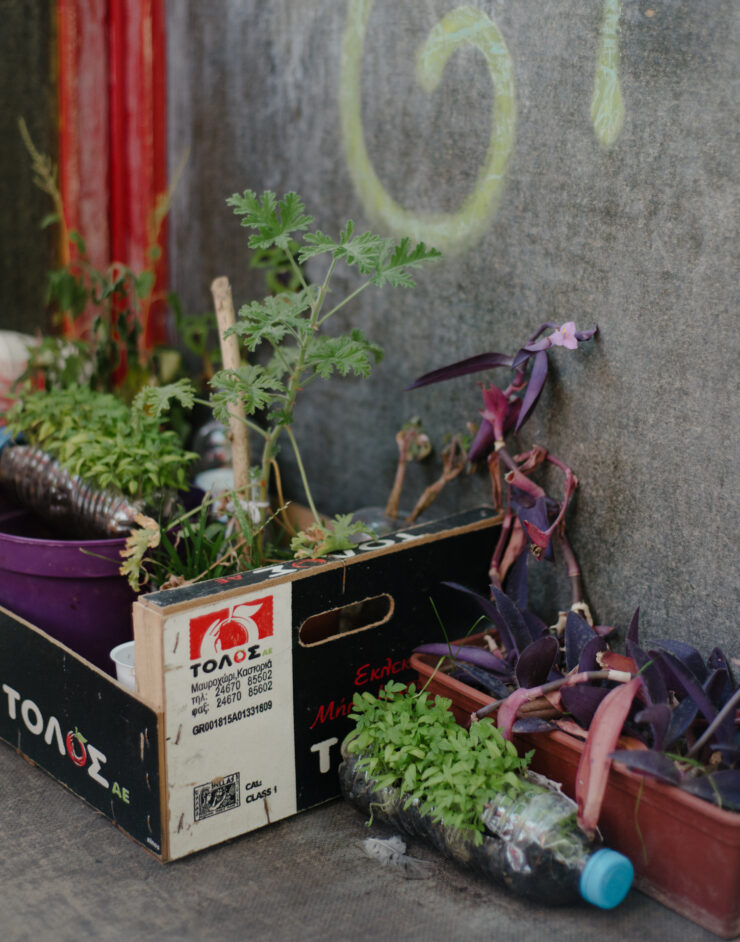 MCH LSE Refuge City ATH Arsis Shelter 017