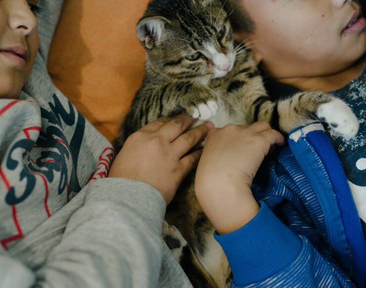 MCH LSE Refuge City ATH Arsis Shelter 031