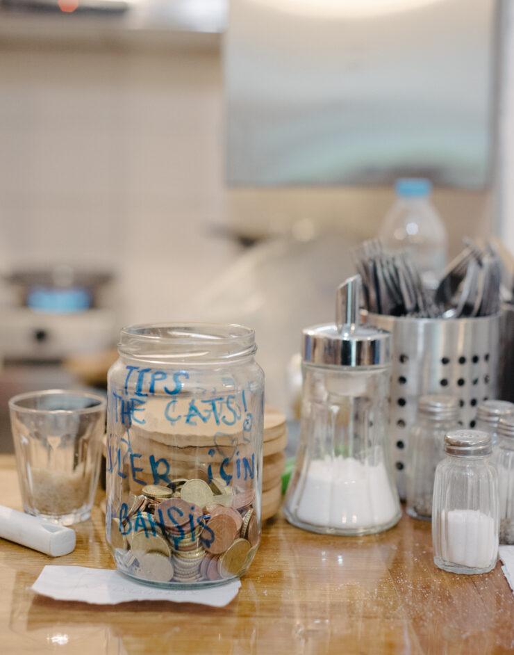 MCH LSE Refuge City ATH Newcomer01 003