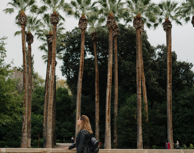 MCH LSE Refuge City ATH Newcomer02 101