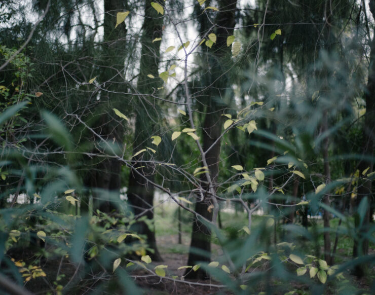 MCH LSE Refuge City ATH Newcomer02 121