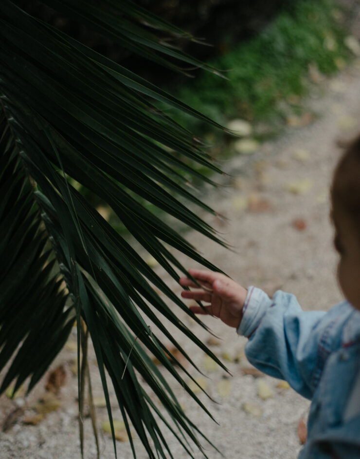 MCH LSE Refuge City ATH Newcomer04 063