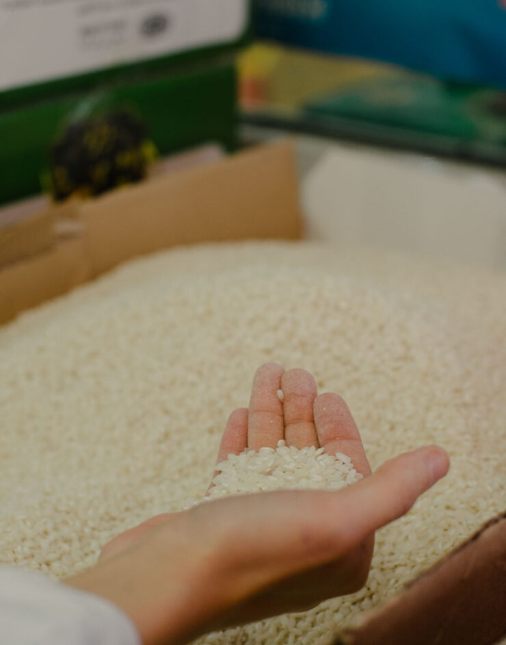 MCH LSE Refuge City BER Newcomer03 084 Marcia Chandra