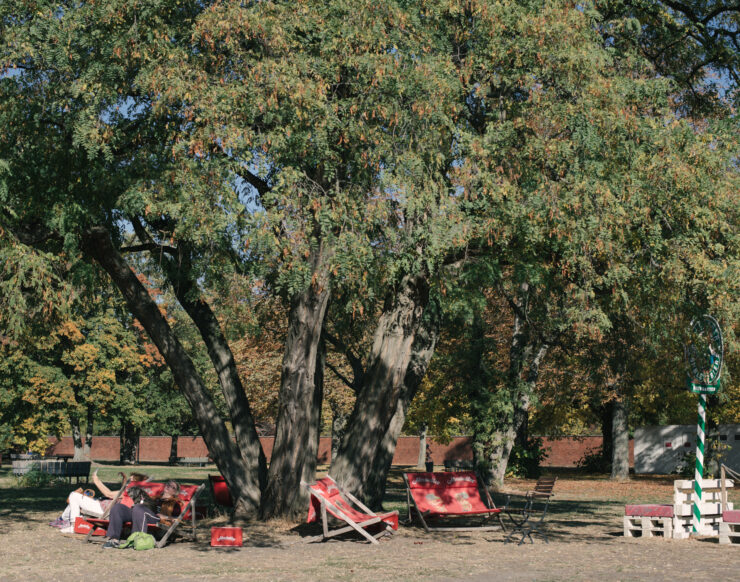 MCH LSE Refuge City BER Newcomer05 016